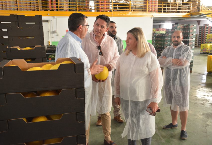 Cooperativa Santiago Apóstol espera 18 millones de kilos de melón